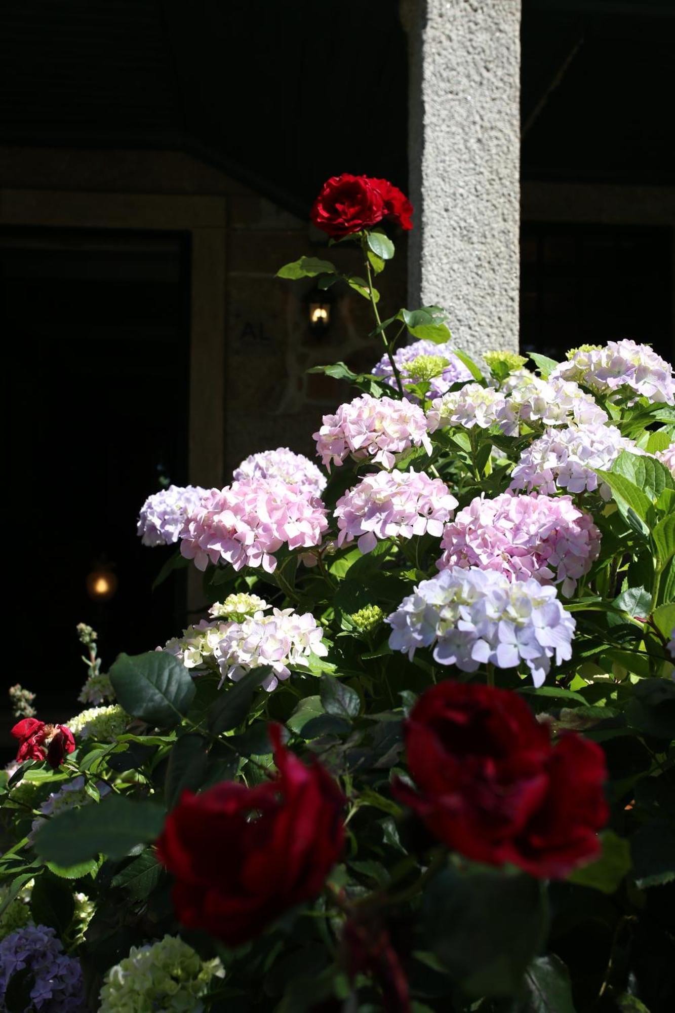 Lugar Da Pedra Alta - B&B - Private Historical Villa Melo エクステリア 写真