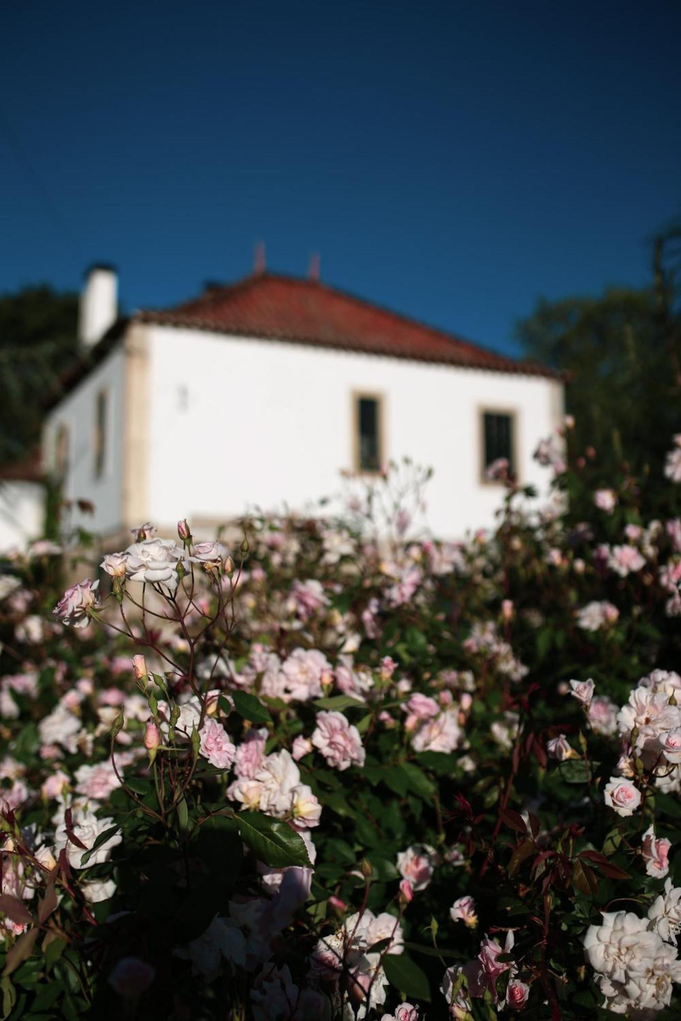 Lugar Da Pedra Alta - B&B - Private Historical Villa Melo エクステリア 写真