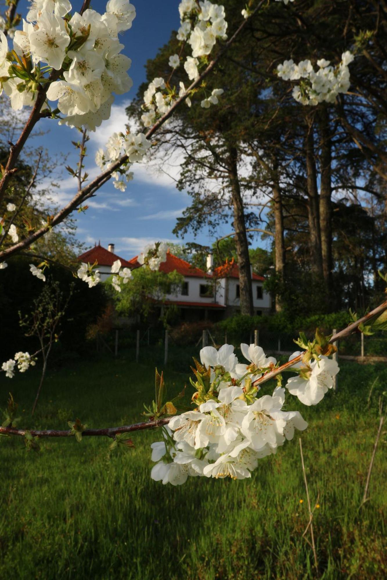 Lugar Da Pedra Alta - B&B - Private Historical Villa Melo エクステリア 写真