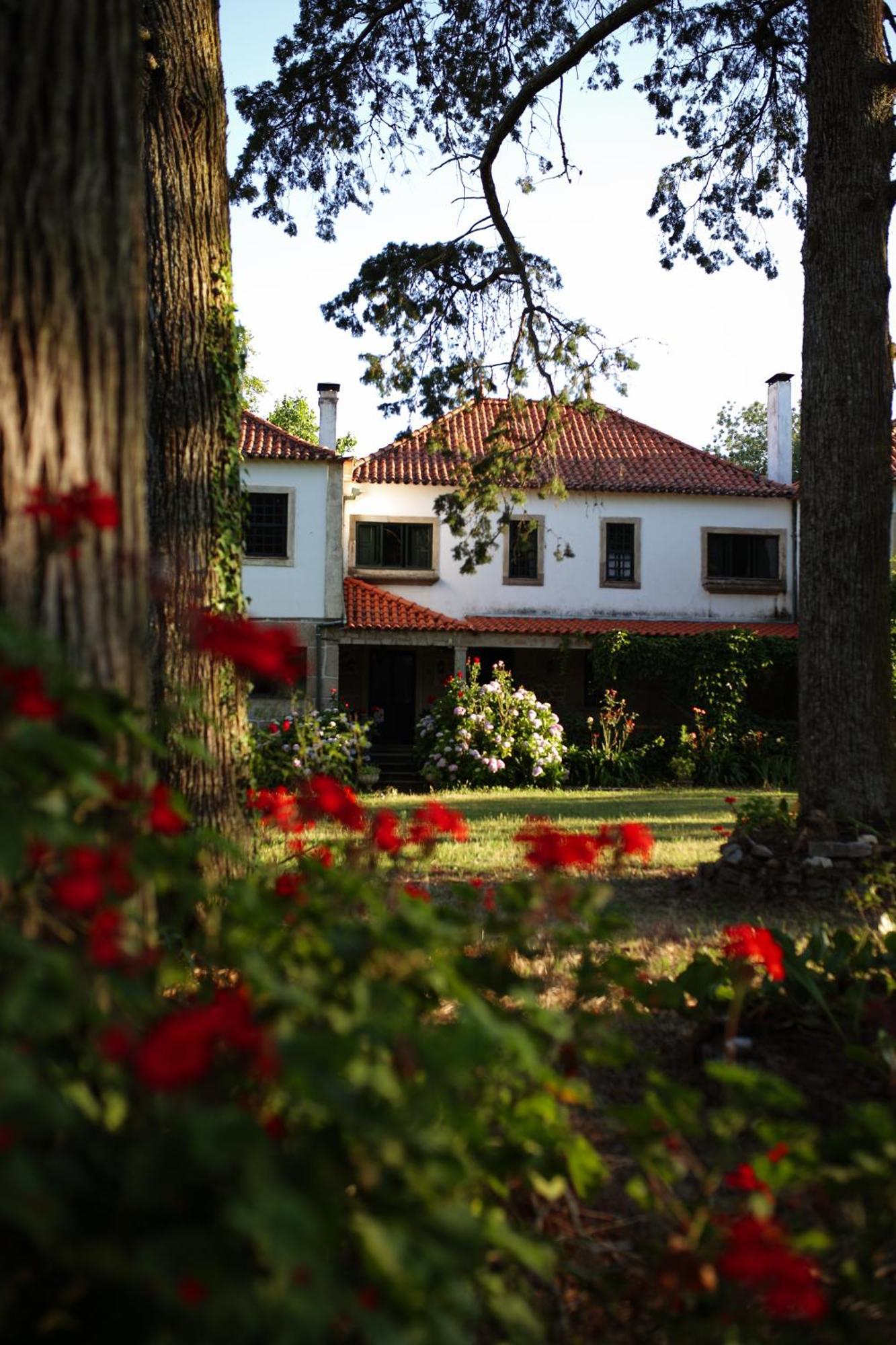 Lugar Da Pedra Alta - B&B - Private Historical Villa Melo エクステリア 写真