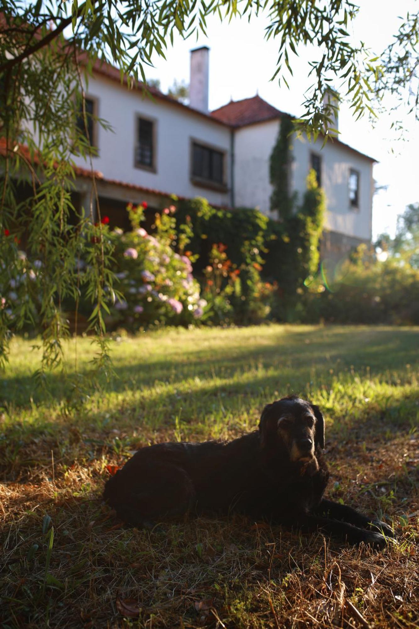 Lugar Da Pedra Alta - B&B - Private Historical Villa Melo エクステリア 写真