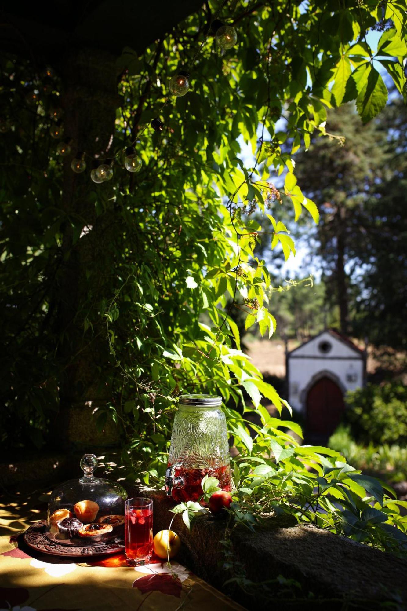 Lugar Da Pedra Alta - B&B - Private Historical Villa Melo エクステリア 写真